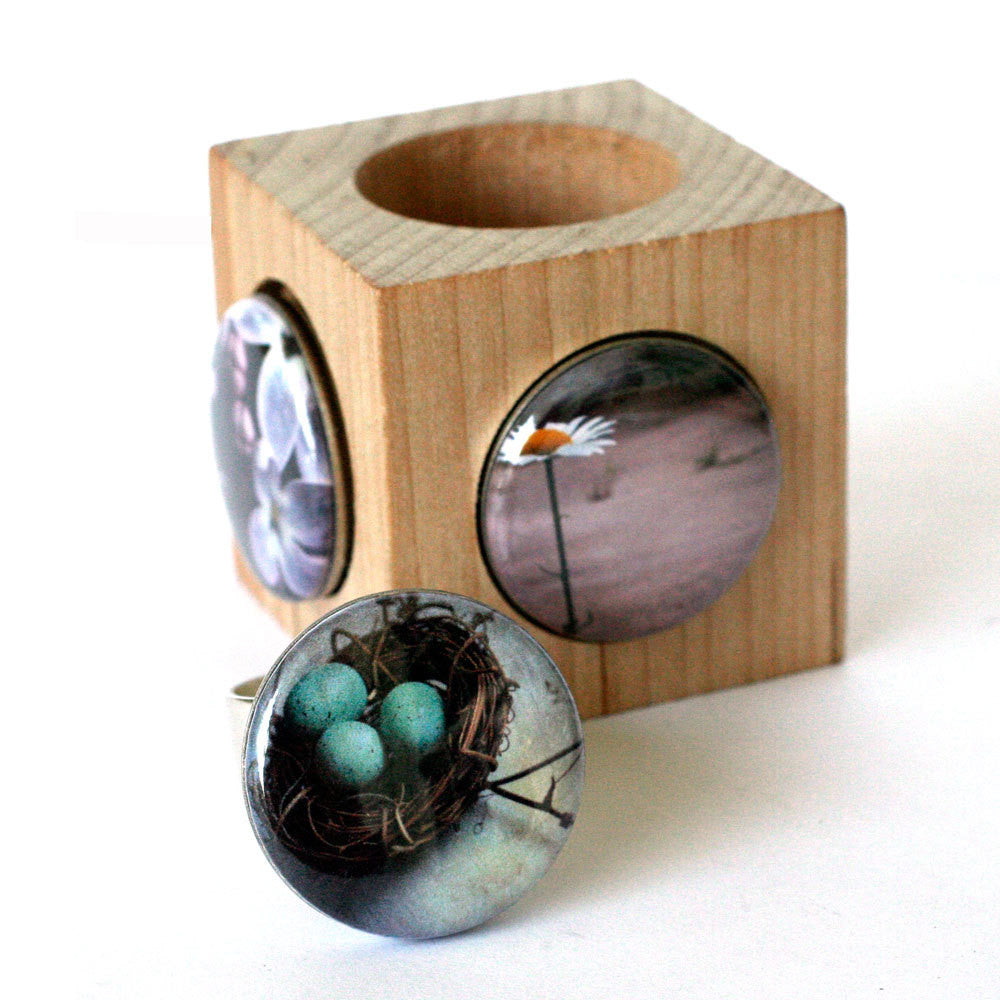 Birds Nest Art Photography Ring