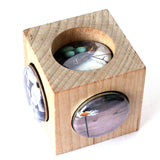 Birds Nest Art Photography Ring