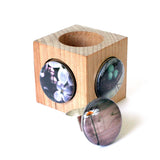 Birds Nest Art Photography Ring